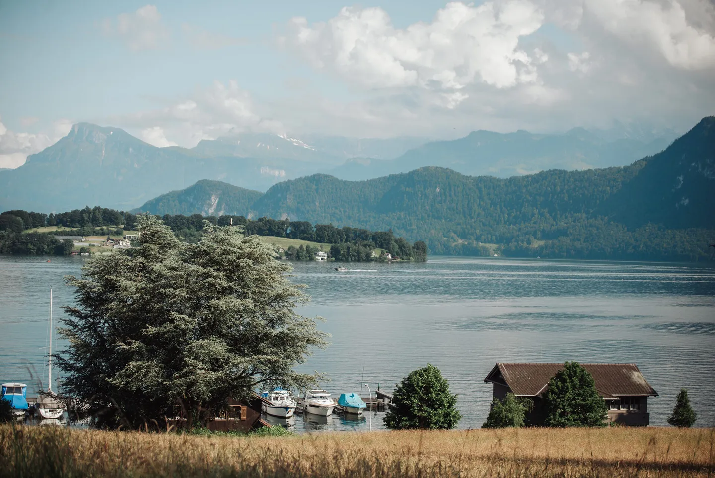 Blick auf den Vierwaldstättersee